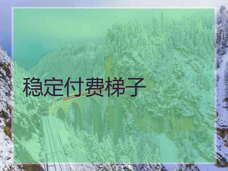 稳定付费梯子
