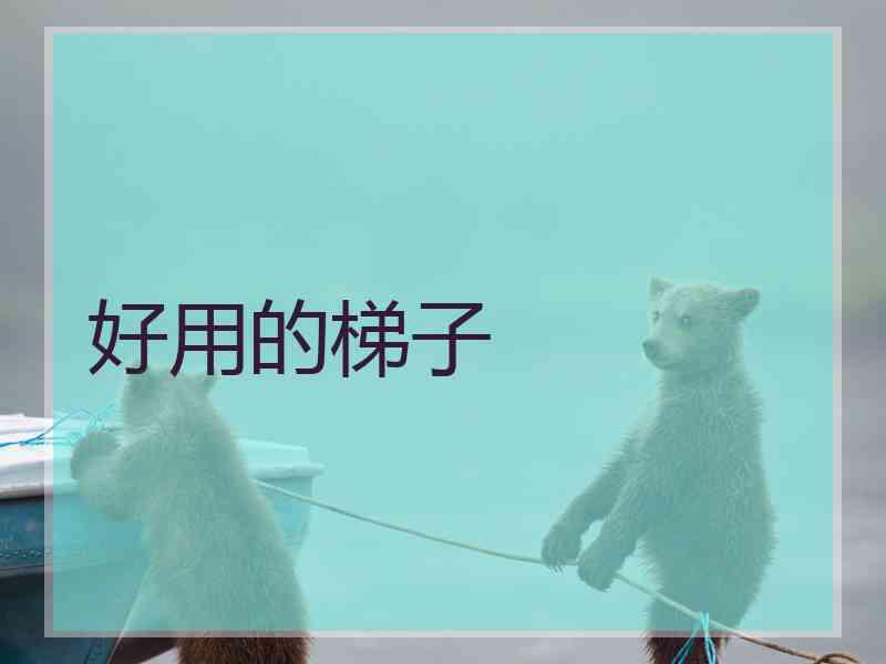 好用的梯子