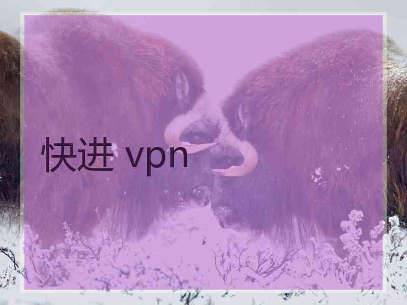 快进 vpn