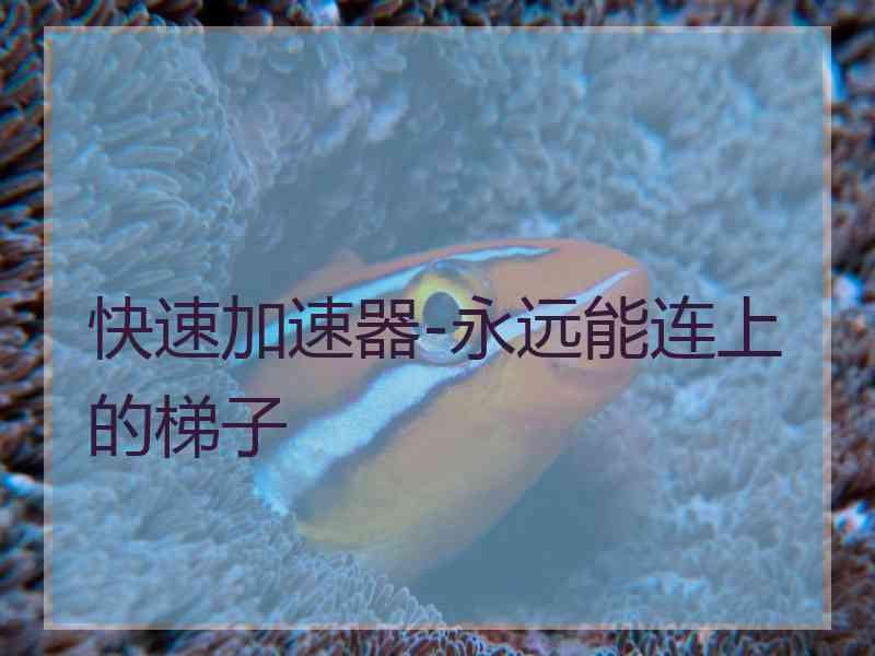 快速加速器-永远能连上的梯子