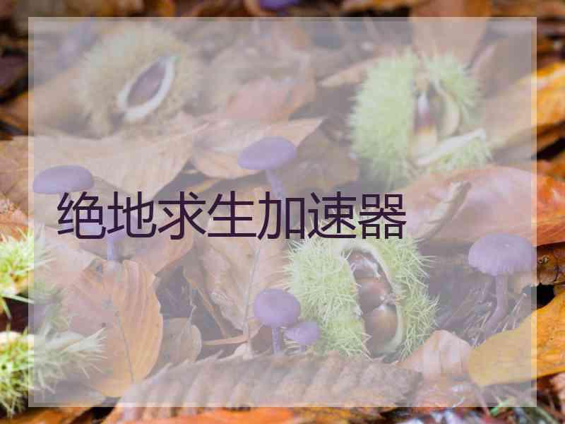 绝地求生加速器