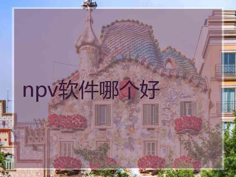 npv软件哪个好