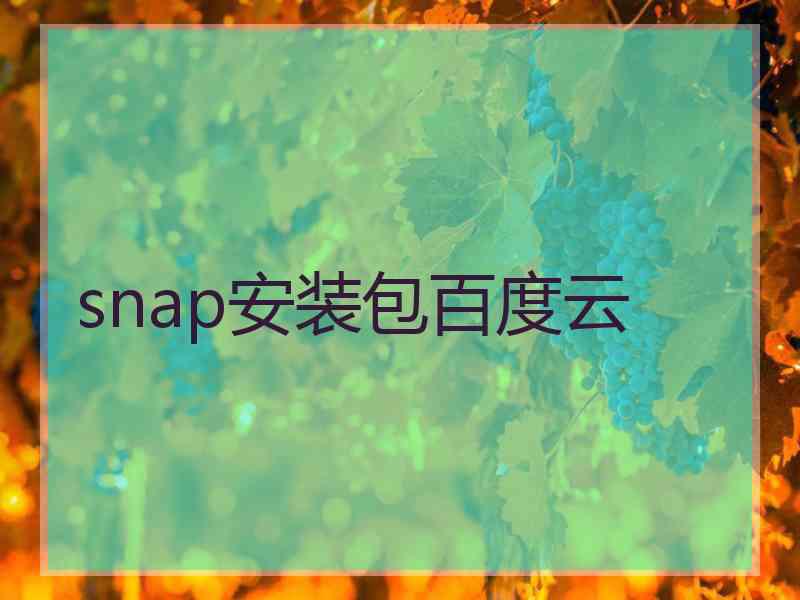 snap安装包百度云