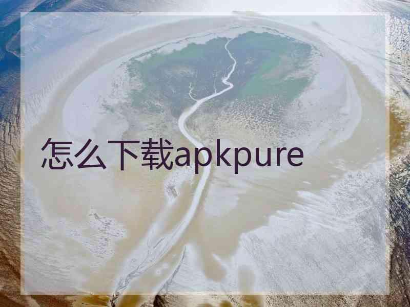 怎么下载apkpure