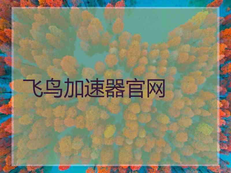 飞鸟加速器官网