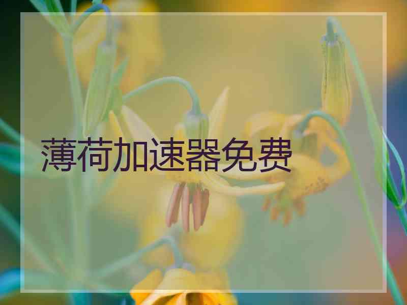 薄荷加速器免费