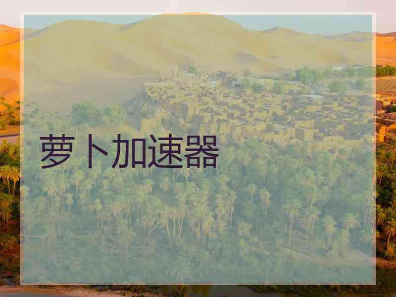 萝卜加速器