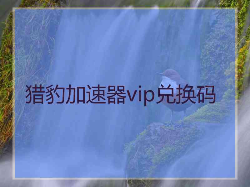 猎豹加速器vip兑换码