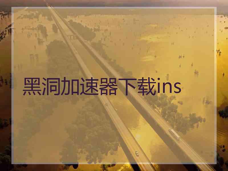 黑洞加速器下载ins