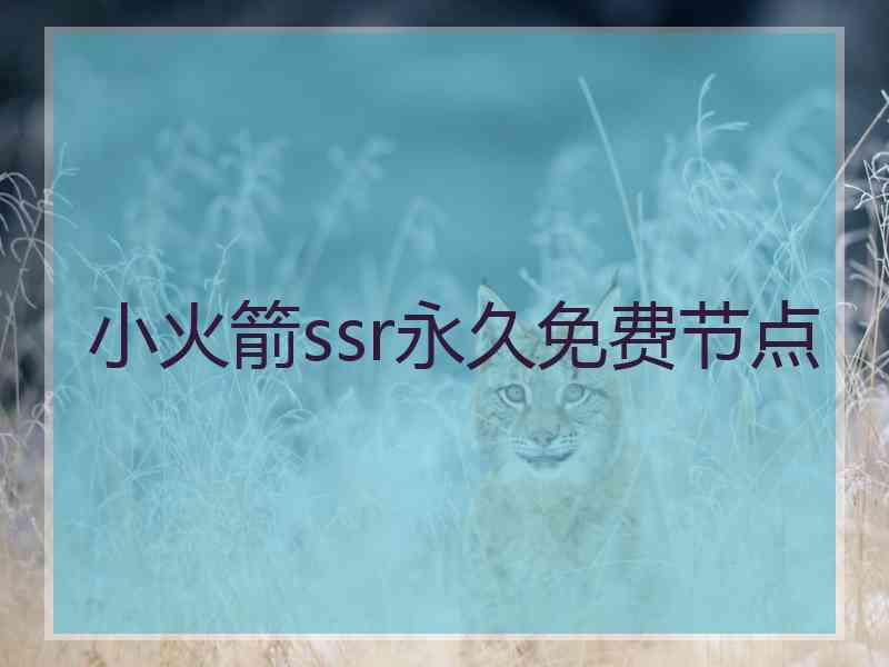 小火箭ssr永久免费节点