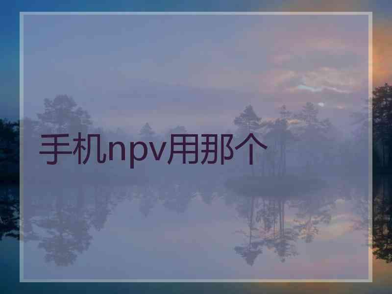 手机npv用那个