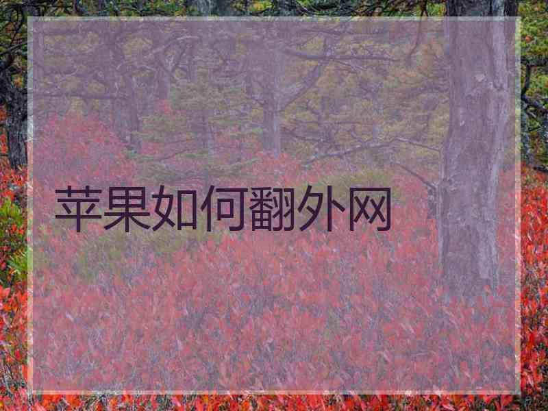 苹果如何翻外网