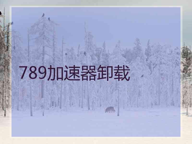 789加速器卸载