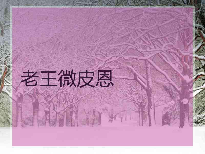老王微皮恩
