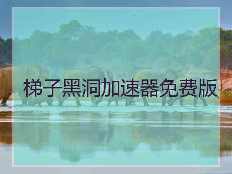 梯子黑洞加速器免费版