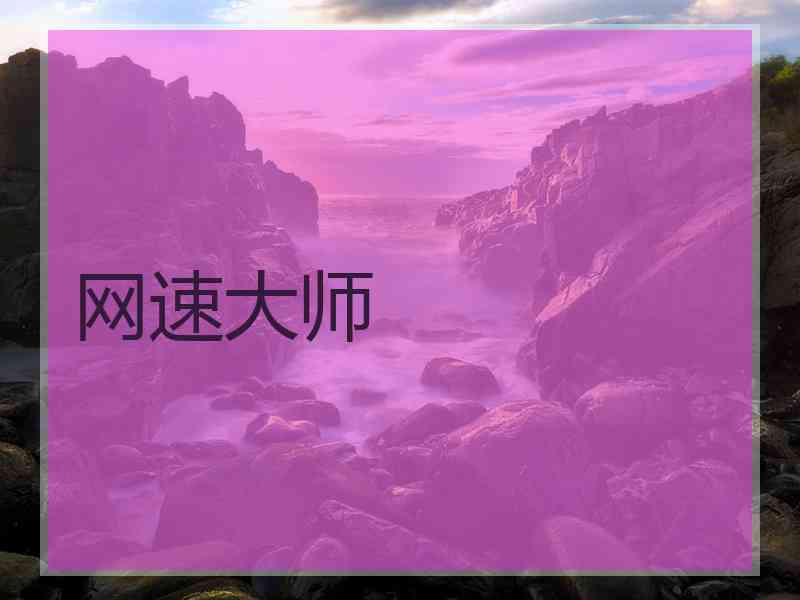网速大师