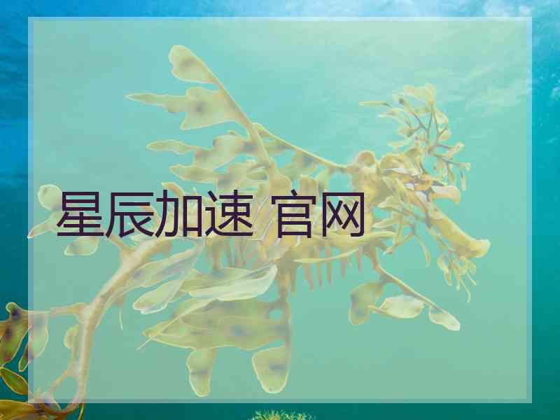 星辰加速 官网