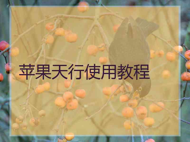 苹果天行使用教程