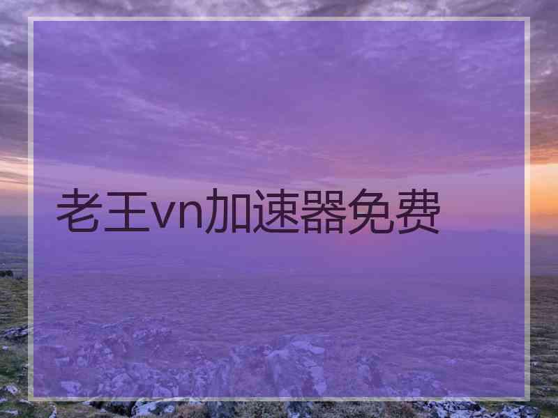 老王vn加速器免费