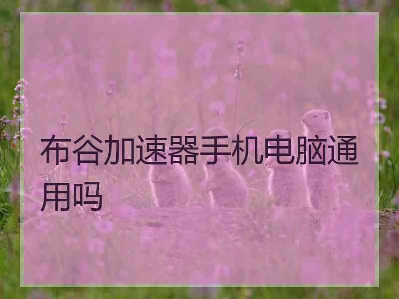布谷加速器手机电脑通用吗
