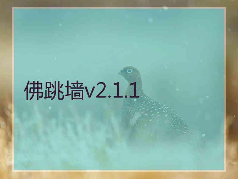 佛跳墙v2.1.1