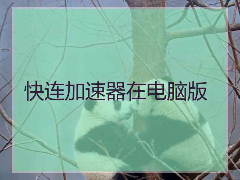 快连加速器在电脑版