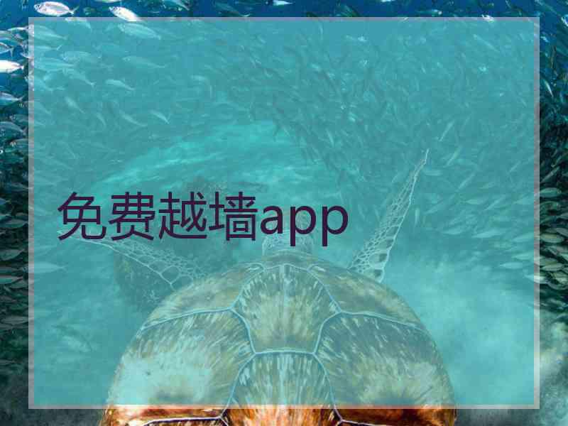 免费越墙app