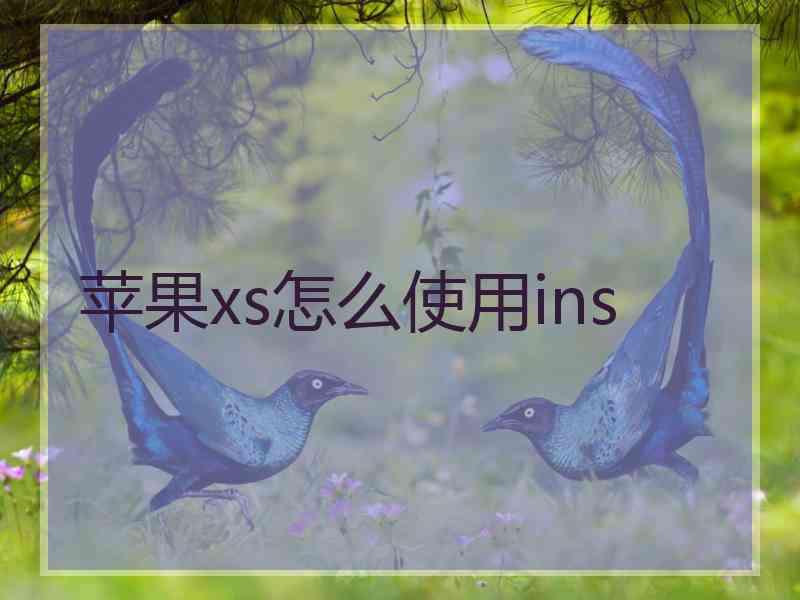 苹果xs怎么使用ins