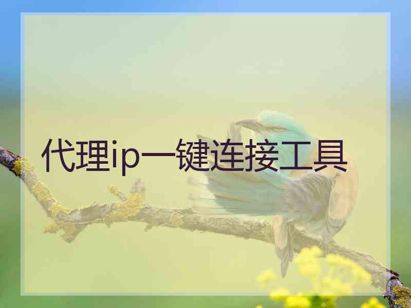 代理ip一键连接工具