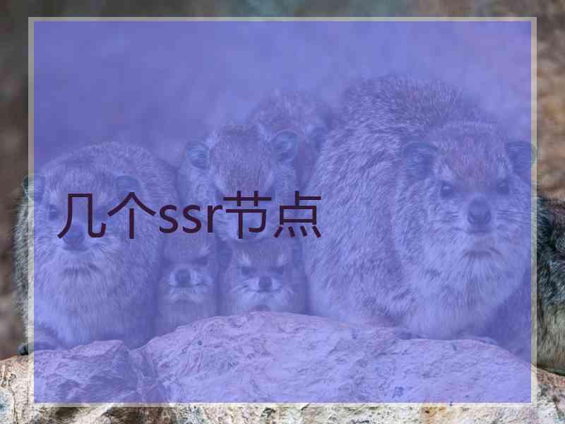 几个ssr节点