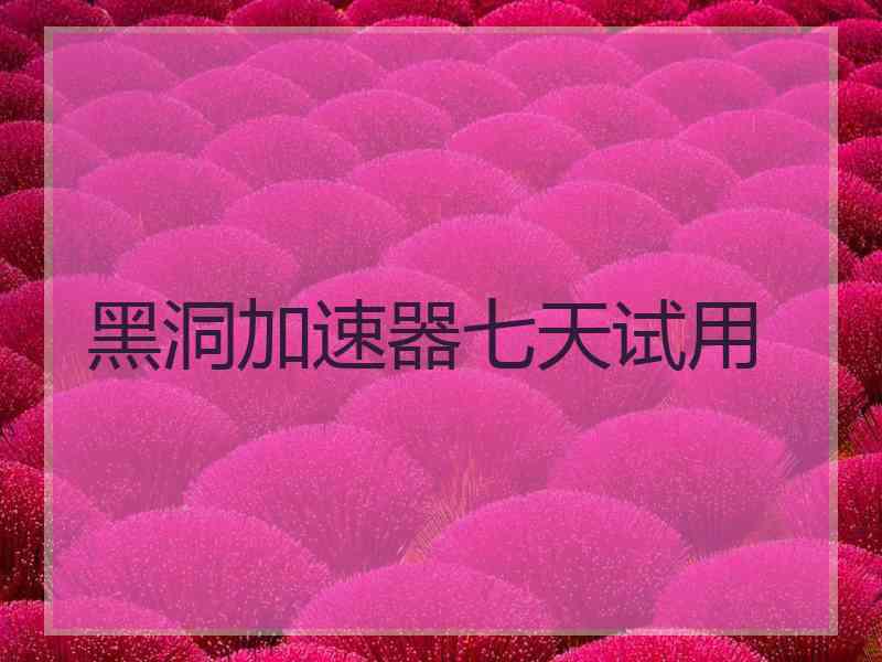 黑洞加速器七天试用