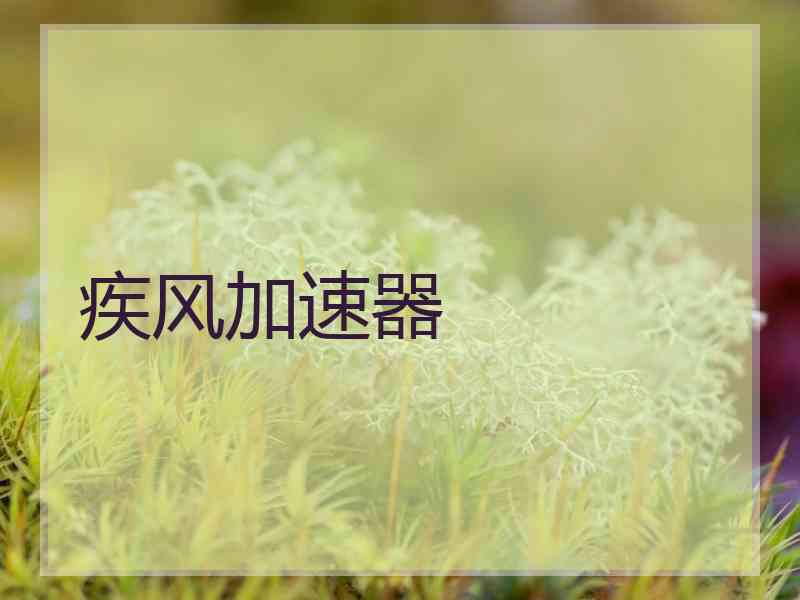 疾风加速器