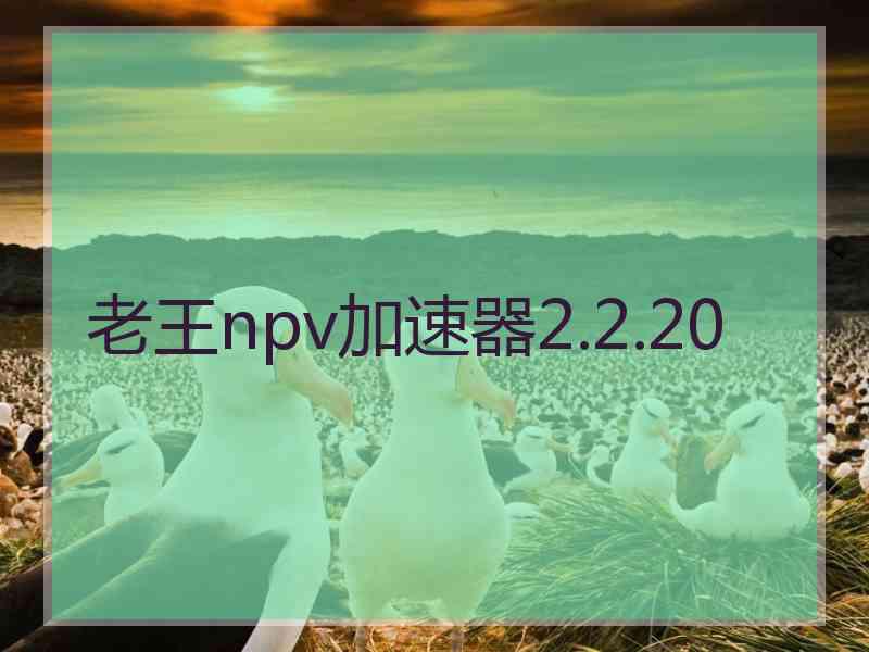 老王npv加速器2.2.20