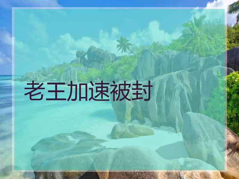 老王加速被封