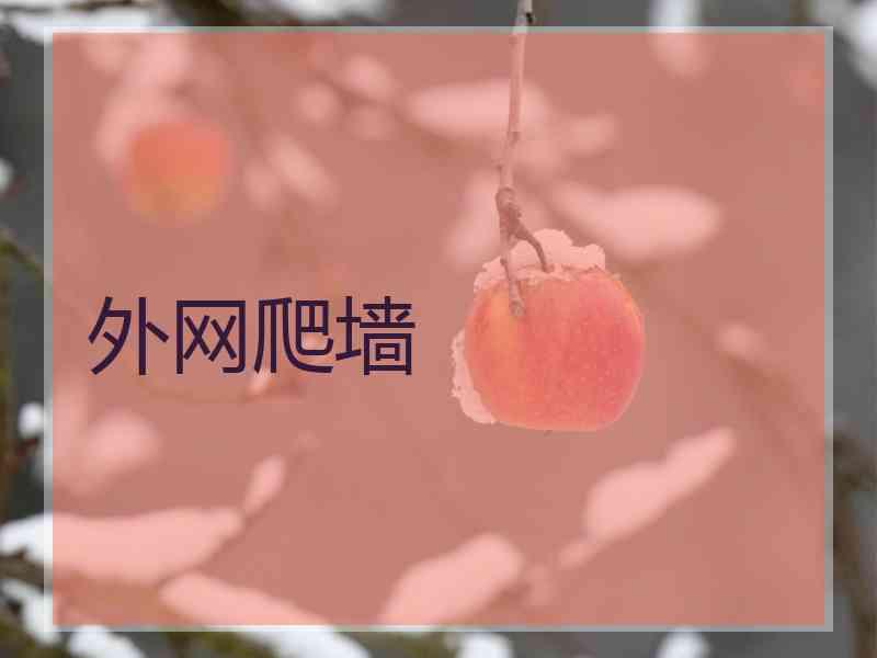 外网爬墙