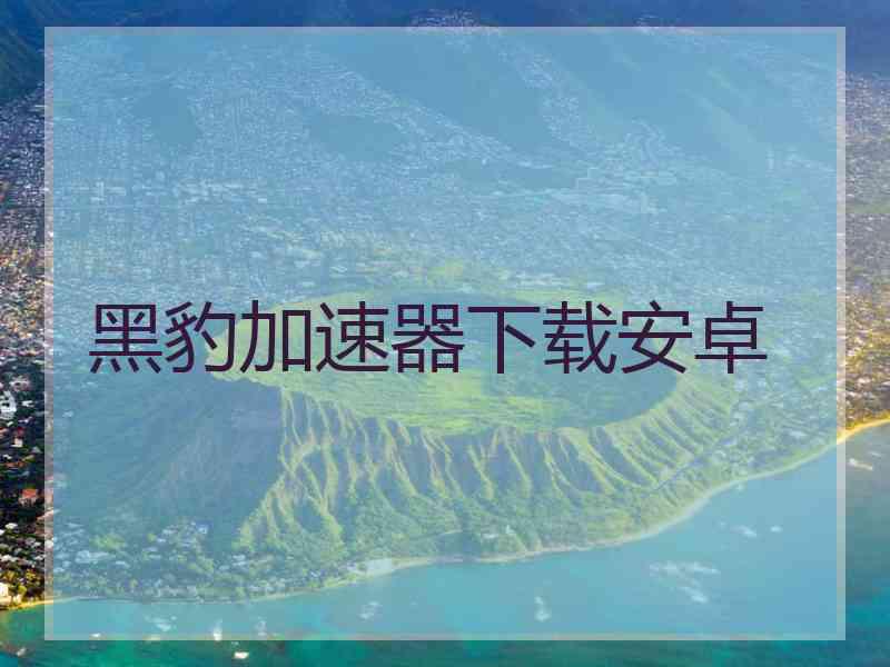 黑豹加速器下载安卓