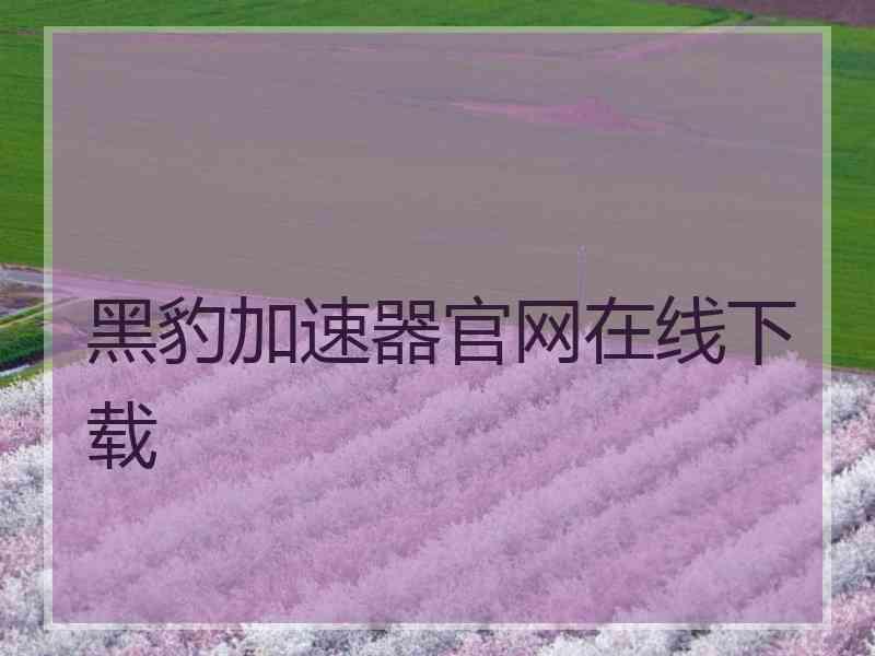 黑豹加速器官网在线下载