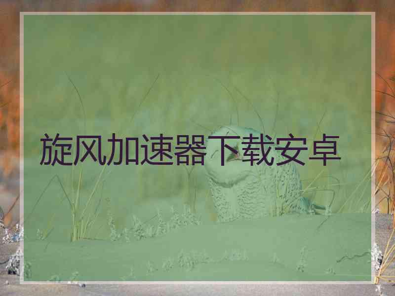 旋风加速器下载安卓