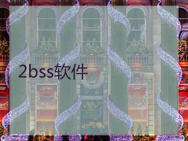 2bss软件