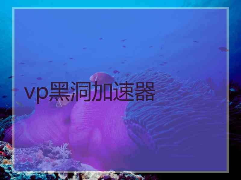 vp黑洞加速器