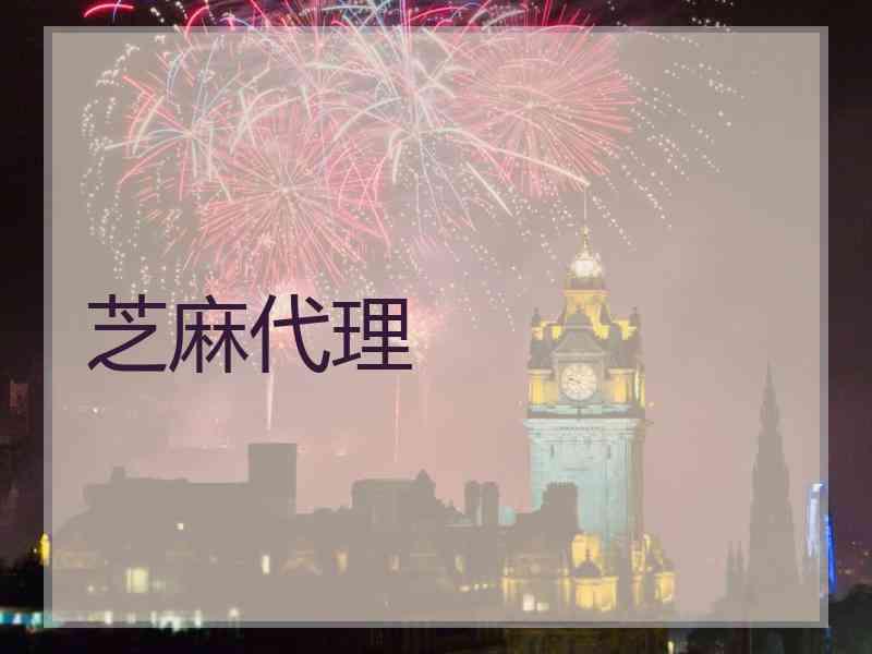 芝麻代理