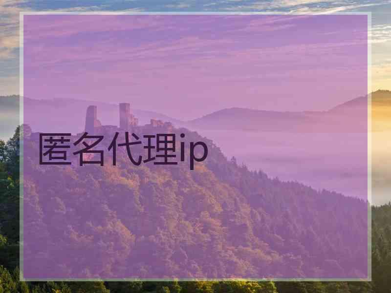 匿名代理ip