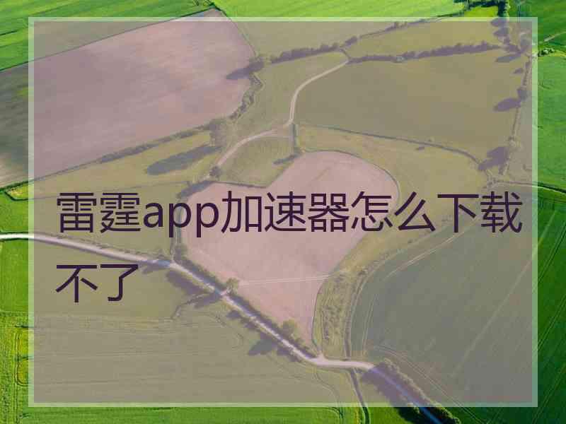 雷霆app加速器怎么下载不了