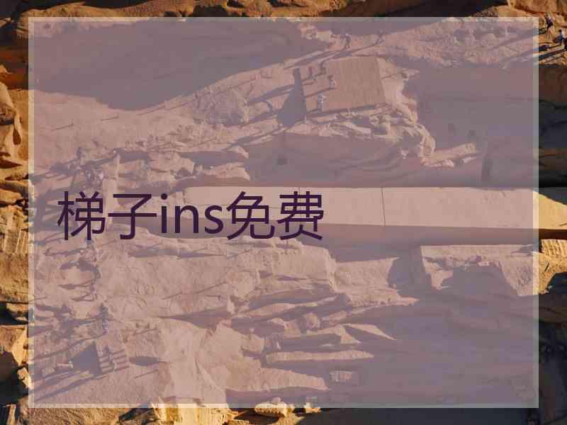 梯子ins免费