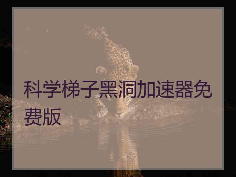 科学梯子黑洞加速器免费版