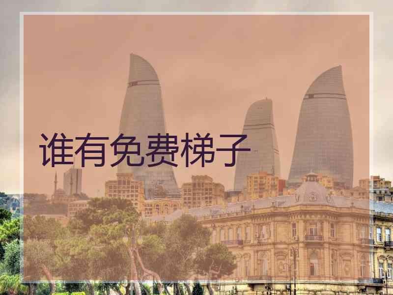 谁有免费梯子
