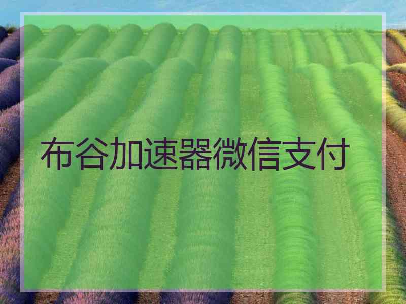 布谷加速器微信支付