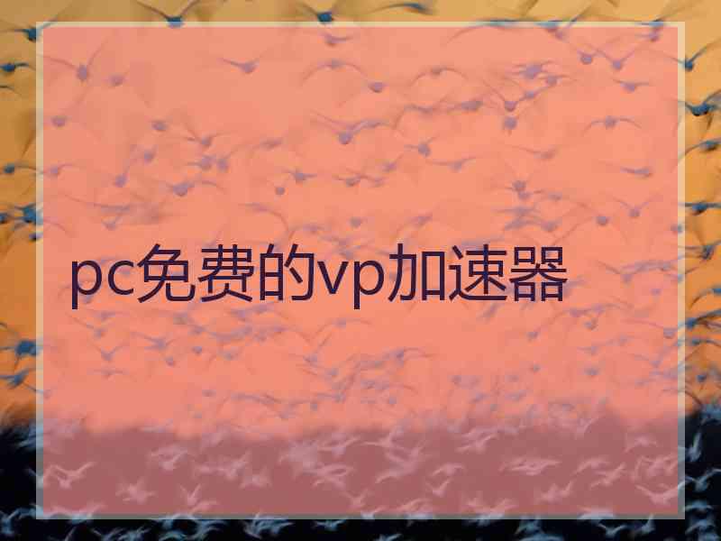 pc免费的vp加速器