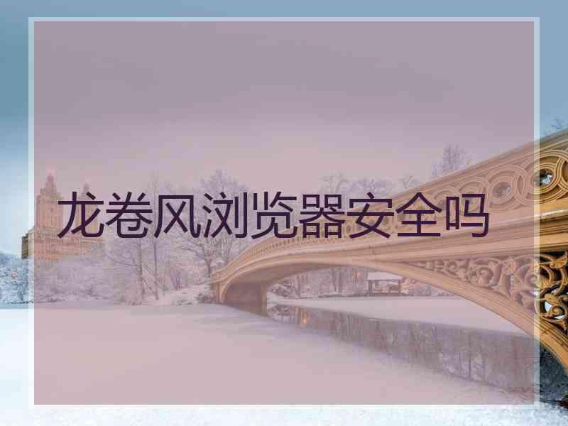 龙卷风浏览器安全吗