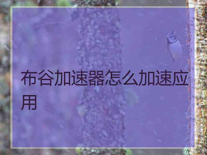 布谷加速器怎么加速应用